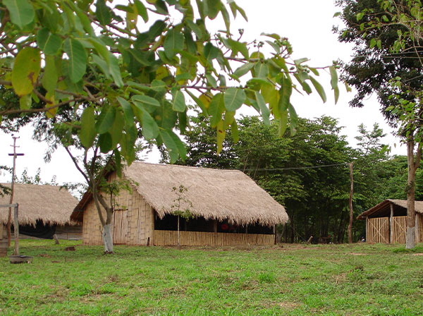 Producción Agropecuaria Alternativa
